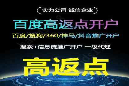 百度推广案例：精准广告投放策略解析